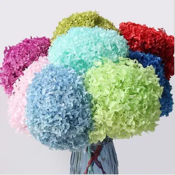 Anna hydrangea immortal flower gift box material dried flower flower material whole flower accessories Free Shipping
Anna hydrangea immortal flower gift box material dried flower flower material whole flower accessories Free Shipping