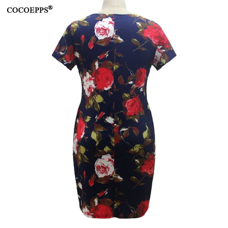 COCOEPPS19