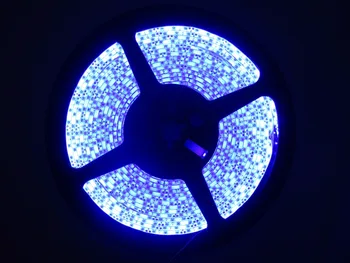 Fast shipping 100M 20x5M 2835 3528 SMD 600LEDs Blue Flexible LED Light Strip 120LEDs/M IP30 Non-waterproof IP65 DC12V
Fast shipping 100M 20x5M 2835 3528 SMD 600LEDs Blue Flexible LED Light Strip 120LEDs/M IP30 Non-waterproof IP65 DC12V
