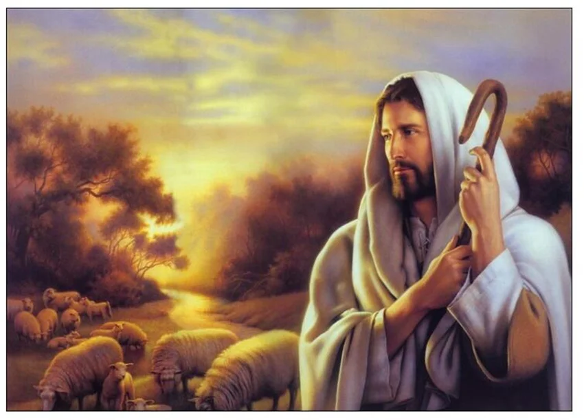 DIY Digital Painting By Numbers Package Jesus Shepherd Coloring Wall Art Picture Gift frameless
DIY Digital Painting By Numbers Package Jesus Shepherd Coloring Wall Art Picture Gift frameless