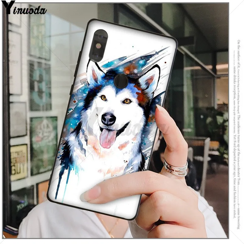 Animal Husky cute Puppy Dog