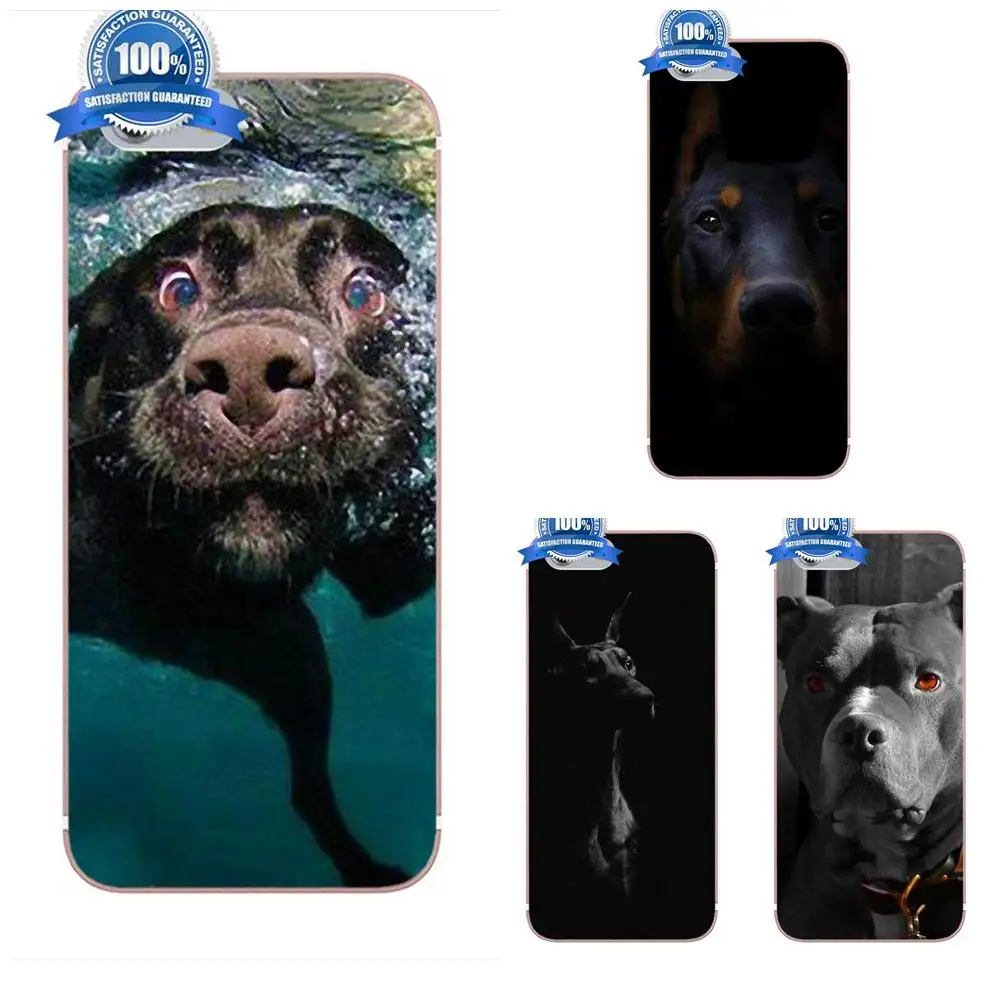 Soft Skin Paintin For Samsung Galaxy A3 A5 A7 J1 J3 J5 J7 2016 2017 S5 S6 S7 S8 S9 edge Plus Cute Pet Dog Labrador Retriever
Soft Skin Paintin For Samsung Galaxy A3 A5 A7 J1 J3 J5 J7 2016 2017 S5 S6 S7 S8 S9 edge Plus Cute Pet Dog Labrador Retriever