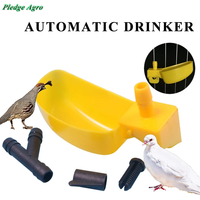

2PCS poultry drinking bowl quail pigeons accessories cage drinker drinkers waterer watering plastic automatic water for birds