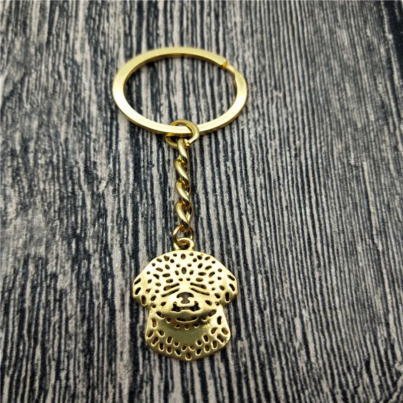 New Lagotto Romagnolo Key Chains Fashion Pet Dog Jewellery Lagotto Romagnolo Car Keychain Bag Keyring For Women Men
New Lagotto Romagnolo Key Chains Fashion Pet Dog Jewellery Lagotto Romagnolo Car Keychain Bag Keyring For Women Men