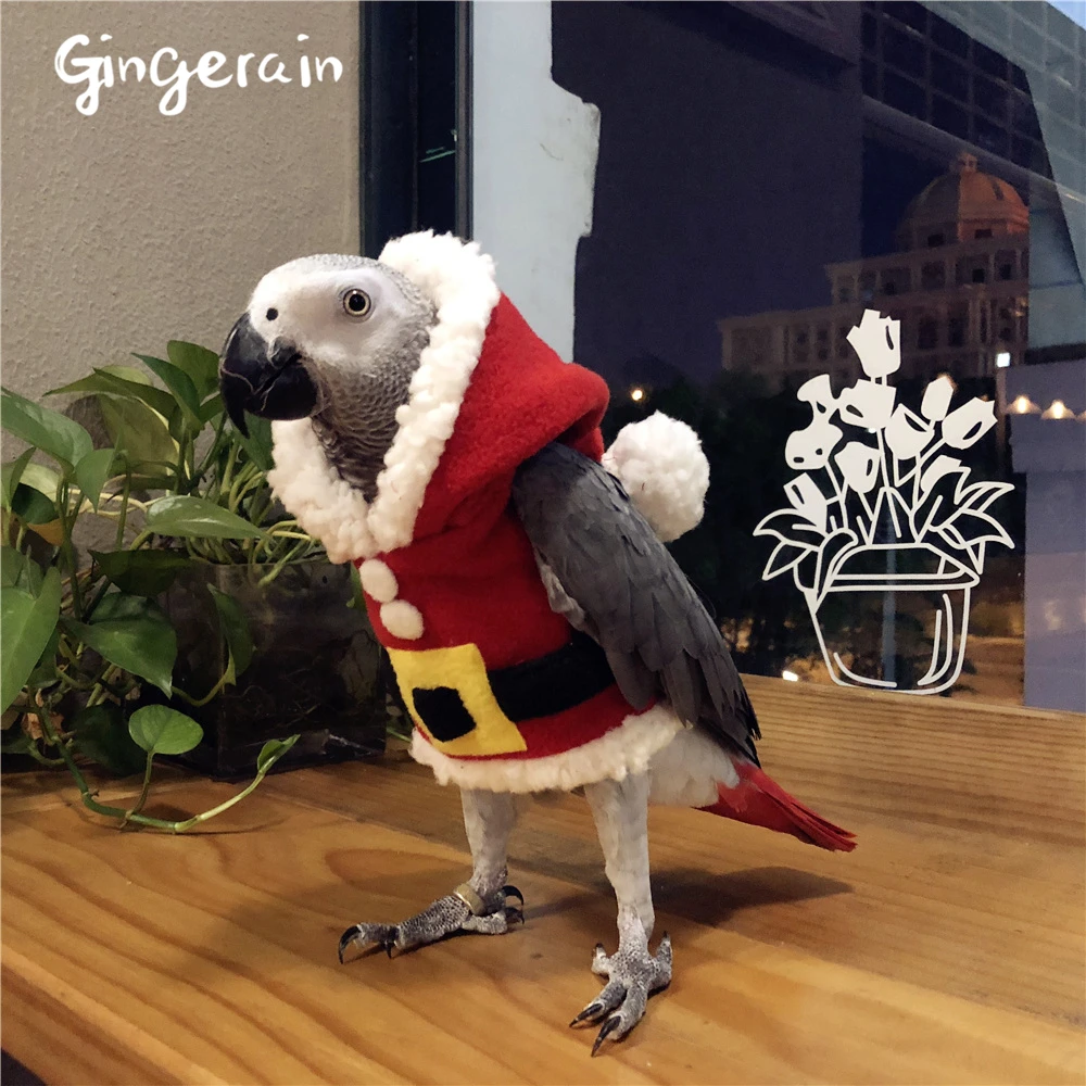 Gingerain одежда с птицами и попугаями оригинальная Рождественская ручной работы
