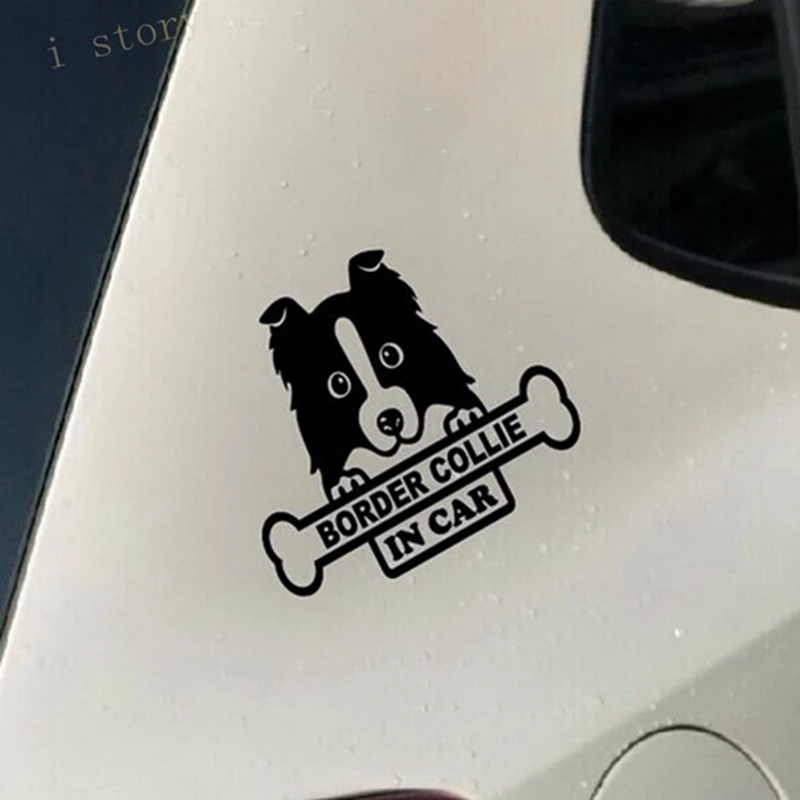 Border Collie Dog Sticker for Car Stickers And Vinyl Decals Laptop Sticker Decal Motorcycle Skateboard Funny Vinyl Stickers
Border Collie Dog Sticker for Car Stickers And Vinyl Decals Laptop Sticker Decal Motorcycle Skateboard Funny Vinyl Stickers