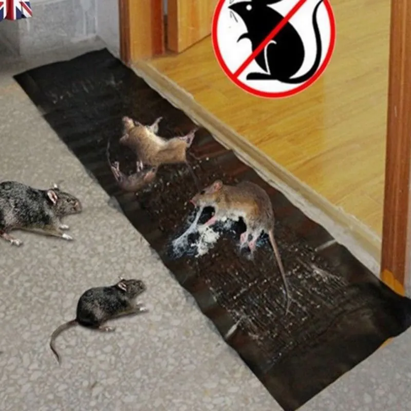 120*27CM Rat Cockroaches Trap killer Strong Adhesive Mouse Glue Catcher traps mice Sticky Board
120*27CM Rat Cockroaches Trap killer Strong Adhesive Mouse Glue Catcher traps mice Sticky Board