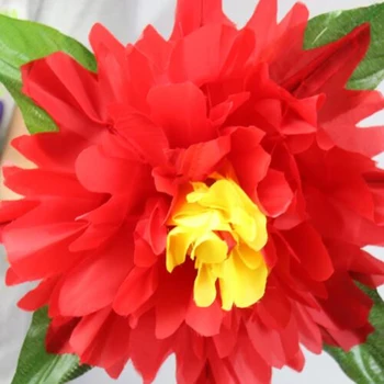 Magic Peony peony small flower (diameter 30cm) magic tricks magic props for magic show
Magic Peony peony small flower (diameter 30cm) magic tricks magic props for magic show