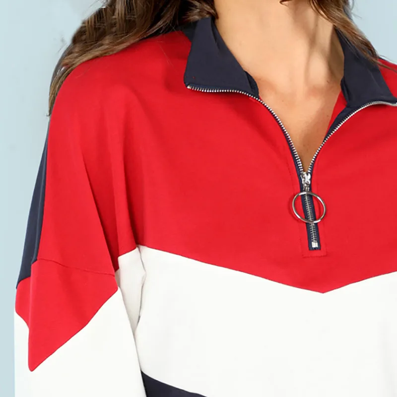 SHEIN-Multicolor-Minimalist-O-Ring-Zip-Front-Cut-And-Sew-Stand-Neck-Raglan-Sleeve-Sweatshirt (2)
