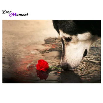 Dog and Rose bedroom Full Diamond Rhinestone cross Stitch Crafts Diamond Paintings picture souvenir diy artistic photos ASF461
Dog and Rose bedroom Full Diamond Rhinestone cross Stitch Crafts Diamond Paintings picture souvenir diy artistic photos ASF461