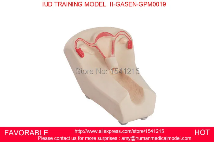 NURSING MANIKIN FEMALE IUD BIRTH CONTROL MODEL FEMALE CONTRACEPTION SIMULATOR IUD MODEL IUD TRAINING MODEL GASEN-GPM0019
NURSING MANIKIN FEMALE IUD BIRTH CONTROL MODEL FEMALE CONTRACEPTION SIMULATOR IUD MODEL IUD TRAINING MODEL GASEN-GPM0019