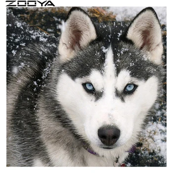 ZOOYA DIY 5D Diamond Painting Cross stitch Dog Husky Needlework Diamond Embroidery Pattern Hobbies and Crafts Home Decor R1052
ZOOYA DIY 5D Diamond Painting Cross stitch Dog Husky Needlework Diamond Embroidery Pattern Hobbies and Crafts Home Decor R1052