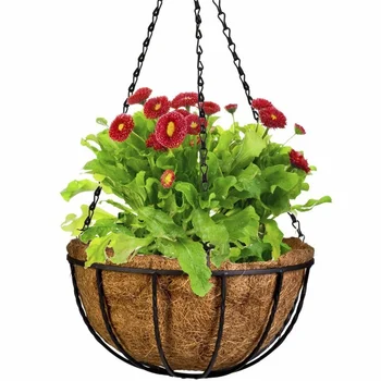 2pcs Wrought Coconut Half round Flowerpot Hanging Pots Window Rattan Decor Pots Wall Iron Garden Flower Basket
2pcs Wrought Coconut Half round Flowerpot Hanging Pots Window Rattan Decor Pots Wall Iron Garden Flower Basket