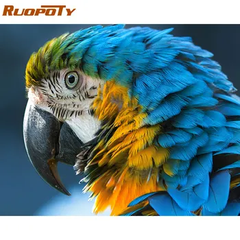 RUOPOTY 60x75cm Frame parrot Diy Painting By Numbers Kit Animals Coloring By Numbers Modern Wall Art Picture By Numbers Artwork
RUOPOTY 60x75cm Frame parrot Diy Painting By Numbers Kit Animals Coloring By Numbers Modern Wall Art Picture By Numbers Artwork