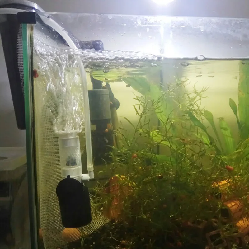 Super Silent Fish Tank Mini Filter Mini Pneumatic Filter for Water Treatment Tool Aquarium Accessorie Mute Water Treatment Tool
Super Silent Fish Tank Mini Filter Mini Pneumatic Filter for Water Treatment Tool Aquarium Accessorie Mute Water Treatment Tool