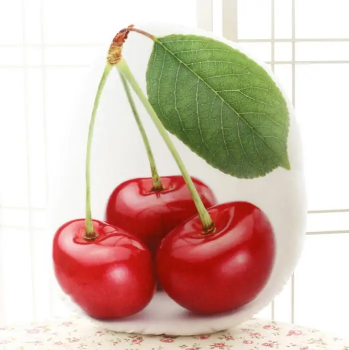 1pc Creative 3D Simulation Cherry Shape Plush Toy Lovely Fruit Plush Pillow Nap Pillow Staffed Fruit Cushion Birthday Gift
1pc Creative 3D Simulation Cherry Shape Plush Toy Lovely Fruit Plush Pillow Nap Pillow Staffed Fruit Cushion Birthday Gift