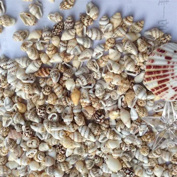 50pcs/Lot 0.9-1.3 cm Small Miscellaneous Conch Home toysDecoration Material Natural Craft Seashell Aquarium Fish Tank Landscape
50pcs/Lot 0.9-1.3 cm Small Miscellaneous Conch Home toysDecoration Material Natural Craft Seashell Aquarium Fish Tank Landscape