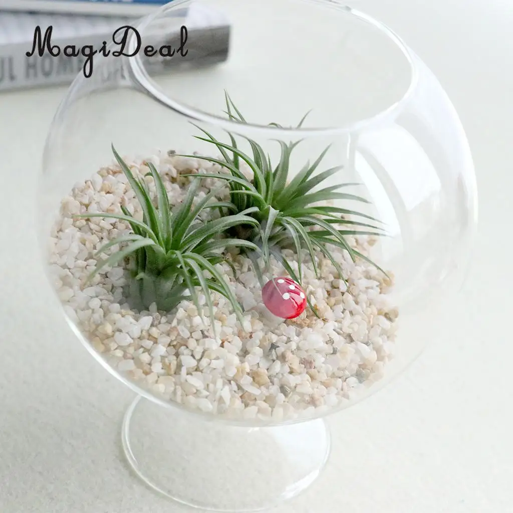 Round Clear Glass Flower Vases Fish Tank Ball Bowl Flower Planter Hydroponic Pot Terrarium with Stand Home Decor Ornament
Round Clear Glass Flower Vases Fish Tank Ball Bowl Flower Planter Hydroponic Pot Terrarium with Stand Home Decor Ornament