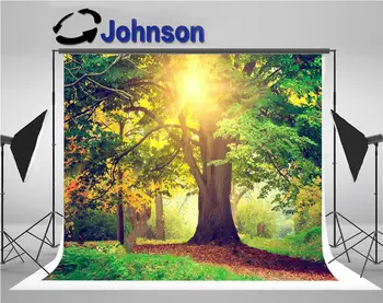 tree park sunlight backdrops Vinyl cloth High quality Computer print wall backgrounds 
tree park sunlight backdrops Vinyl cloth High quality Computer print wall backgrounds