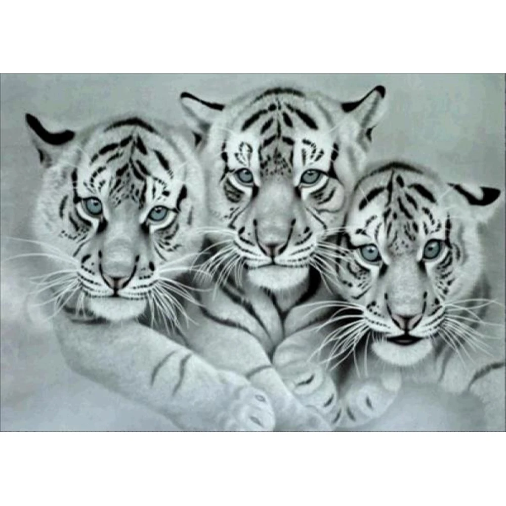 Diamond Embroidery White tiger family Special Shaped Diamond Painting Needlework Rhinestone 5D Drill DIY Crystal Painting
Diamond Embroidery White tiger family Special Shaped Diamond Painting Needlework Rhinestone 5D Drill DIY Crystal Painting