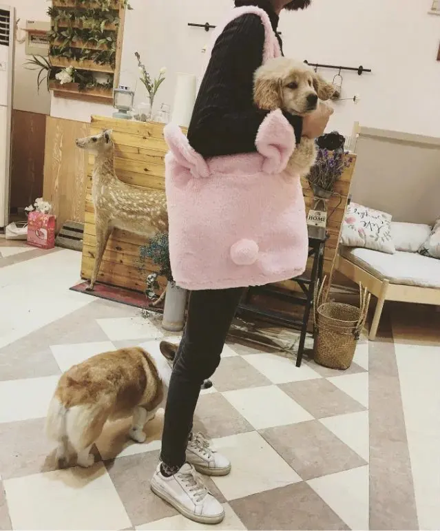 Princess sweet lolita girl bag Cute Faux Fur Rabbit Ear Tail Handbag Lady Soft Plush Backpacks Women Lovely Shopping Tote
Princess sweet lolita girl bag Cute Faux Fur Rabbit Ear Tail Handbag Lady Soft Plush Backpacks Women Lovely Shopping Tote