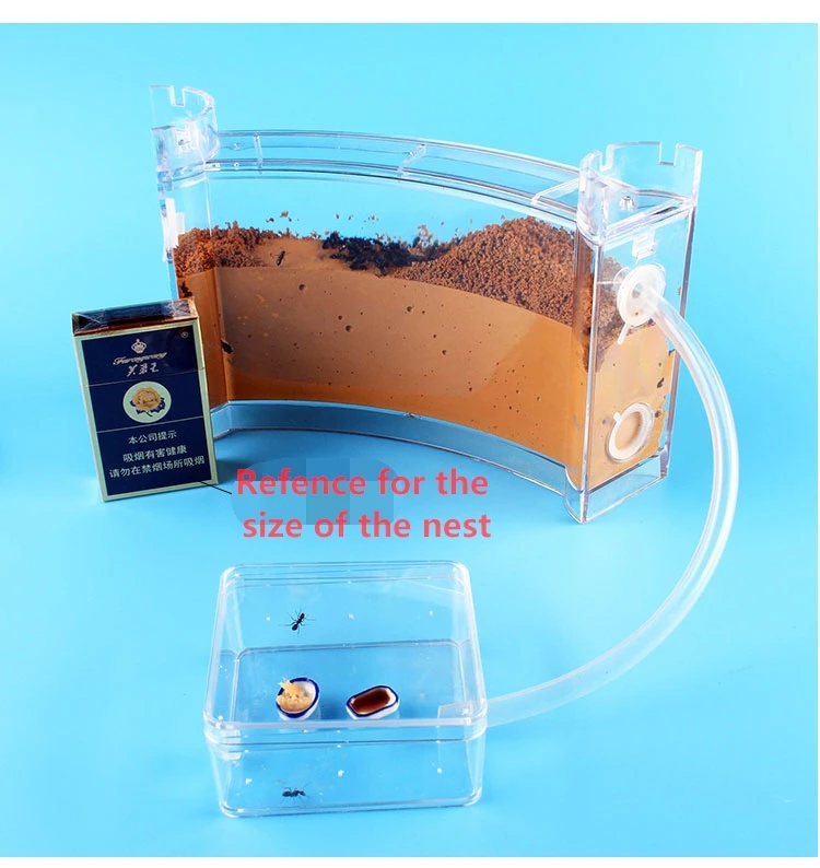 270x60x170MM Transparent Ant Nest Fill Earth Ecological Ants Farm Insect Nest Home Habitat Professional Ant Nest Villa Workshop
270x60x170MM Transparent Ant Nest Fill Earth Ecological Ants Farm Insect Nest Home Habitat Professional Ant Nest Villa Workshop