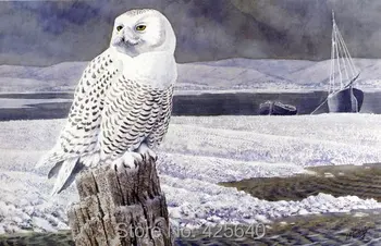 Home Decor Snowy owl Painting Home Decoration Oil painting Wall Pictures for living room Home Decor paints Wall art paint 4
Home Decor Snowy owl Painting Home Decoration Oil painting Wall Pictures for living room Home Decor paints Wall art paint 4