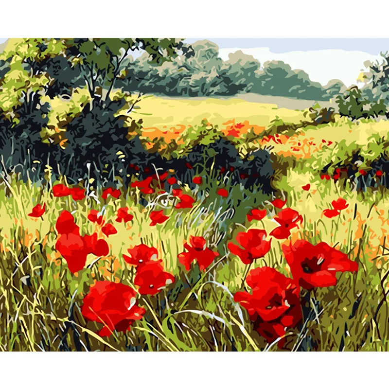 Painting By Numbers DIY Dropshipping 40x50 50x65cm Strong poppy in the wild Flower Canvas Wedding Decoration Art picture Gift
Painting By Numbers DIY Dropshipping 40x50 50x65cm Strong poppy in the wild Flower Canvas Wedding Decoration Art picture Gift