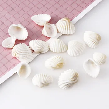 About 30Pcs 27x21.5mm White Shell Small Conch Nature Jewelry Craft Decor Natural Conch Shells Conch Corn Screw Wall Decoration
About 30Pcs 27x21.5mm White Shell Small Conch Nature Jewelry Craft Decor Natural Conch Shells Conch Corn Screw Wall Decoration