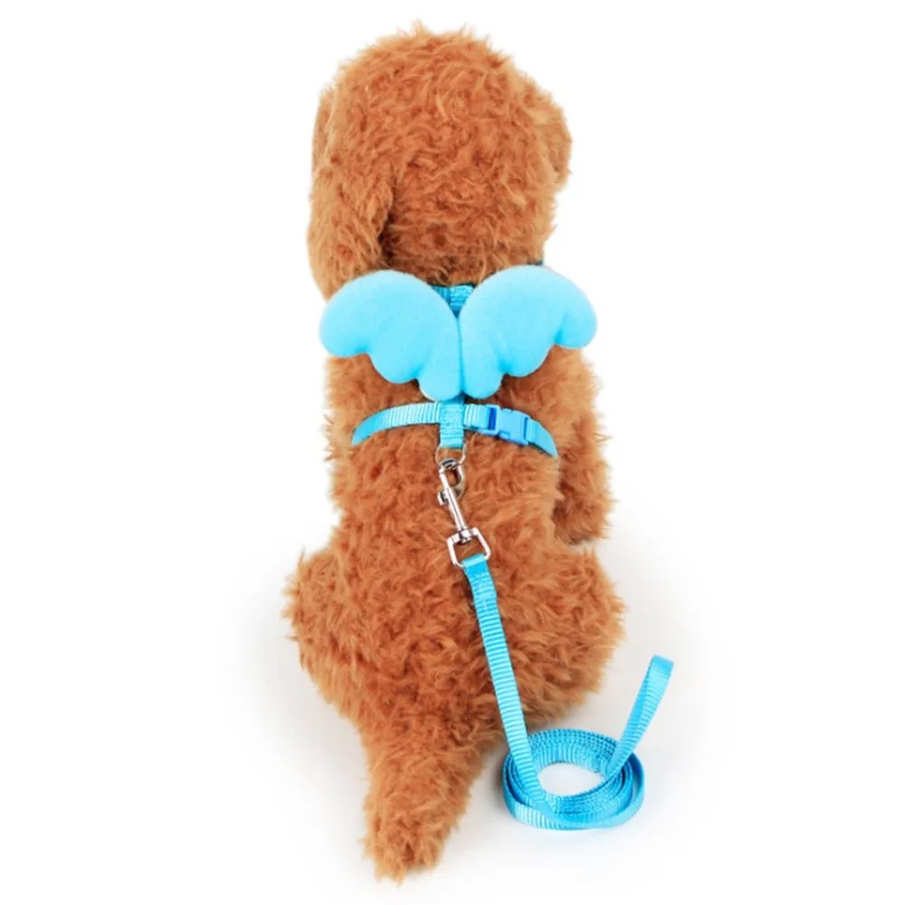 Adjustable Angel Wing Pet Dog Chest Vest Leash Strap Set Breathable Small Dog Harness Costume Lace Peals Traction Rope
Adjustable Angel Wing Pet Dog Chest Vest Leash Strap Set Breathable Small Dog Harness Costume Lace Peals Traction Rope