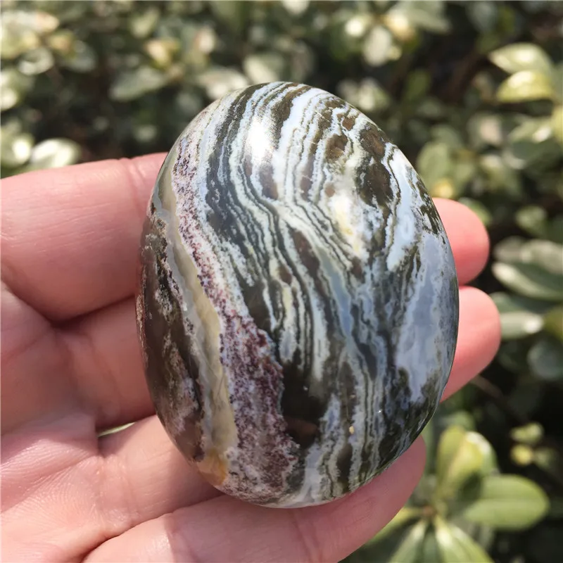 Natural Ocean Jasper Palm Stone Gemstone Irregular Smooth Polished Pebble Healing Stone Home Decoration
Natural Ocean Jasper Palm Stone Gemstone Irregular Smooth Polished Pebble Healing Stone Home Decoration