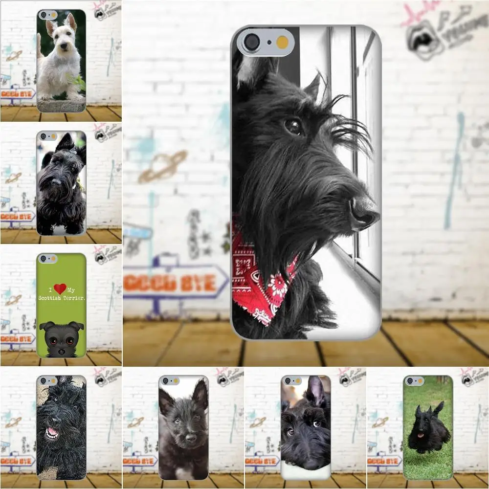 Scottish Terrier Dog Puppy Puppies For Apple iPhone X 4 4S 5 5C 5S SE 6 6S 7 8 Plus For LG G3 G4 G5 G6 K4 K7 K8 K10 V10 V20
Scottish Terrier Dog Puppy Puppies For Apple iPhone X 4 4S 5 5C 5S SE 6 6S 7 8 Plus For LG G3 G4 G5 G6 K4 K7 K8 K10 V10 V20