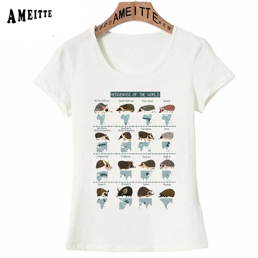 Harajuku Design Hedgehogs of the World Print T-Shirt Women's Clothing Cute Animal Design Summer Women Tops Cool Girl Tees
Harajuku Design Hedgehogs of the World Print T-Shirt Women's Clothing Cute Animal Design Summer Women Tops Cool Girl Tees