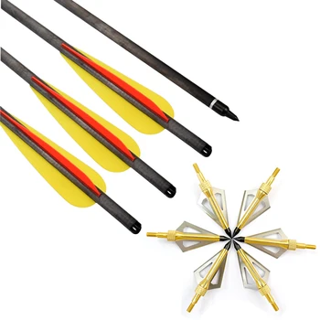 6Pcs 18" 20" Carbon Bolts 8.8mm Diameter Crossbow Arrows + 100 Grain 3 Blades Broadheads Hunting Archery Bow Free Shipping
6Pcs 18" 20" Carbon Bolts 8.8mm Diameter Crossbow Arrows + 100 Grain 3 Blades Broadheads Hunting Archery Bow Free Shipping