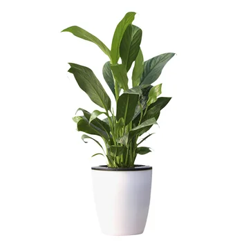 VICTMAX Lazy Flower Planter Pot Self Watering Plastic Flowerpot for Home Garden Decoration - White + Black
VICTMAX Lazy Flower Planter Pot Self Watering Plastic Flowerpot for Home Garden Decoration - White + Black