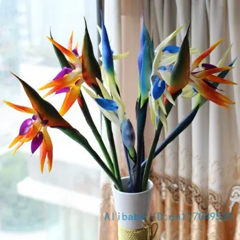 1 PCS Beautiful Artificial Strelizia reginae Plastic Flower Home Decoration F120
1 PCS Beautiful Artificial Strelizia reginae Plastic Flower Home Decoration F120