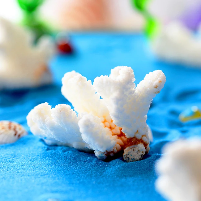Natural White Coral Branch Natural Conch Shell Fish Tank Decoration Aquarium Landscape Platform Decoration Mediterranean Crafts
Natural White Coral Branch Natural Conch Shell Fish Tank Decoration Aquarium Landscape Platform Decoration Mediterranean Crafts