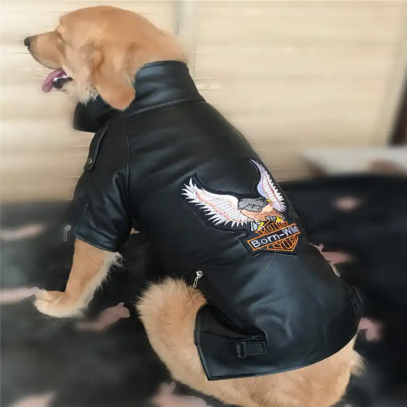 dog leather coat