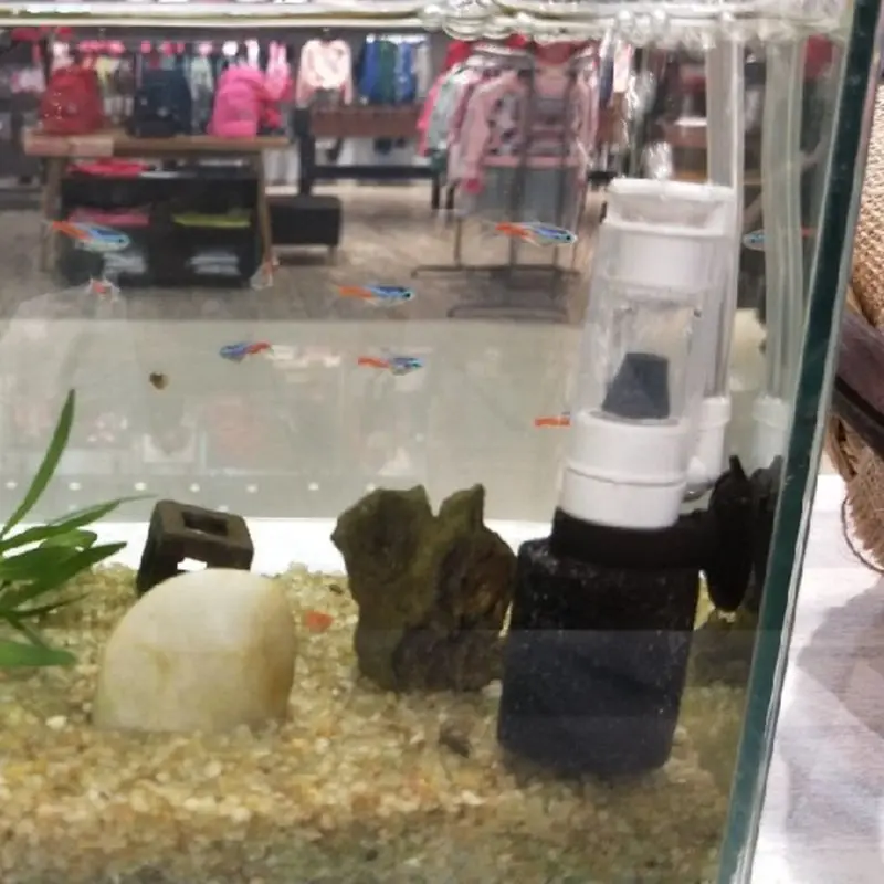 Aquarium Air Pump Mini Biochemical Sponge Filter Oxygen Pump Skimmer Fish Tank Products
Aquarium Air Pump Mini Biochemical Sponge Filter Oxygen Pump Skimmer Fish Tank Products