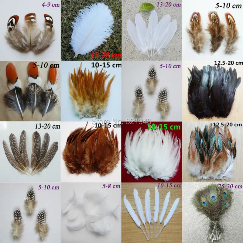 50pcs 15 kinds of Beautiful Rooster feathers goose feathers pheasant chicken plume for DIY Party Craft decoration
50pcs 15 kinds of Beautiful Rooster feathers goose feathers pheasant chicken plume for DIY Party Craft decoration