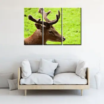 Beautiful Wild Plum Deer Big Antlers 3 Pieces Modular High Quality Animals Canvas Painting Print Wall Art for Office Home Decor
Beautiful Wild Plum Deer Big Antlers 3 Pieces Modular High Quality Animals Canvas Painting Print Wall Art for Office Home Decor