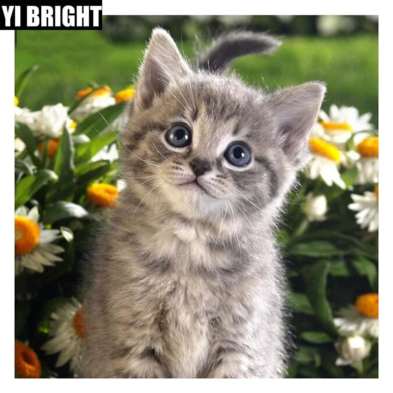 New Year 5D DIY Diamond Embroidery Handmade"cat" Knitting Set Square / round Mosaic House Living Room Decoration XPZ 
New Year 5D DIY Diamond Embroidery Handmade"cat" Knitting Set Square / round Mosaic House Living Room Decoration XPZ