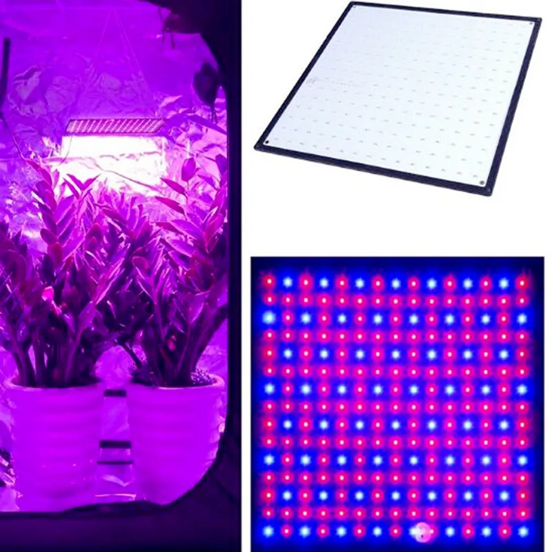 Grow Tent 500W Lamp Lights For Plants 225 LED Grow Light Full Spectrum Phyto Lamp Fitolampy Herbs Growth Lamps Indoor Grow Box
Grow Tent 500W Lamp Lights For Plants 225 LED Grow Light Full Spectrum Phyto Lamp Fitolampy Herbs Growth Lamps Indoor Grow Box