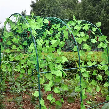 Flower Vegetable Plant Fruit Climbing Frame Garden Bodysuit Green Wholesale Garden Fence Mesh Plant Vines Climbing Network Hot
Flower Vegetable Plant Fruit Climbing Frame Garden Bodysuit Green Wholesale Garden Fence Mesh Plant Vines Climbing Network Hot