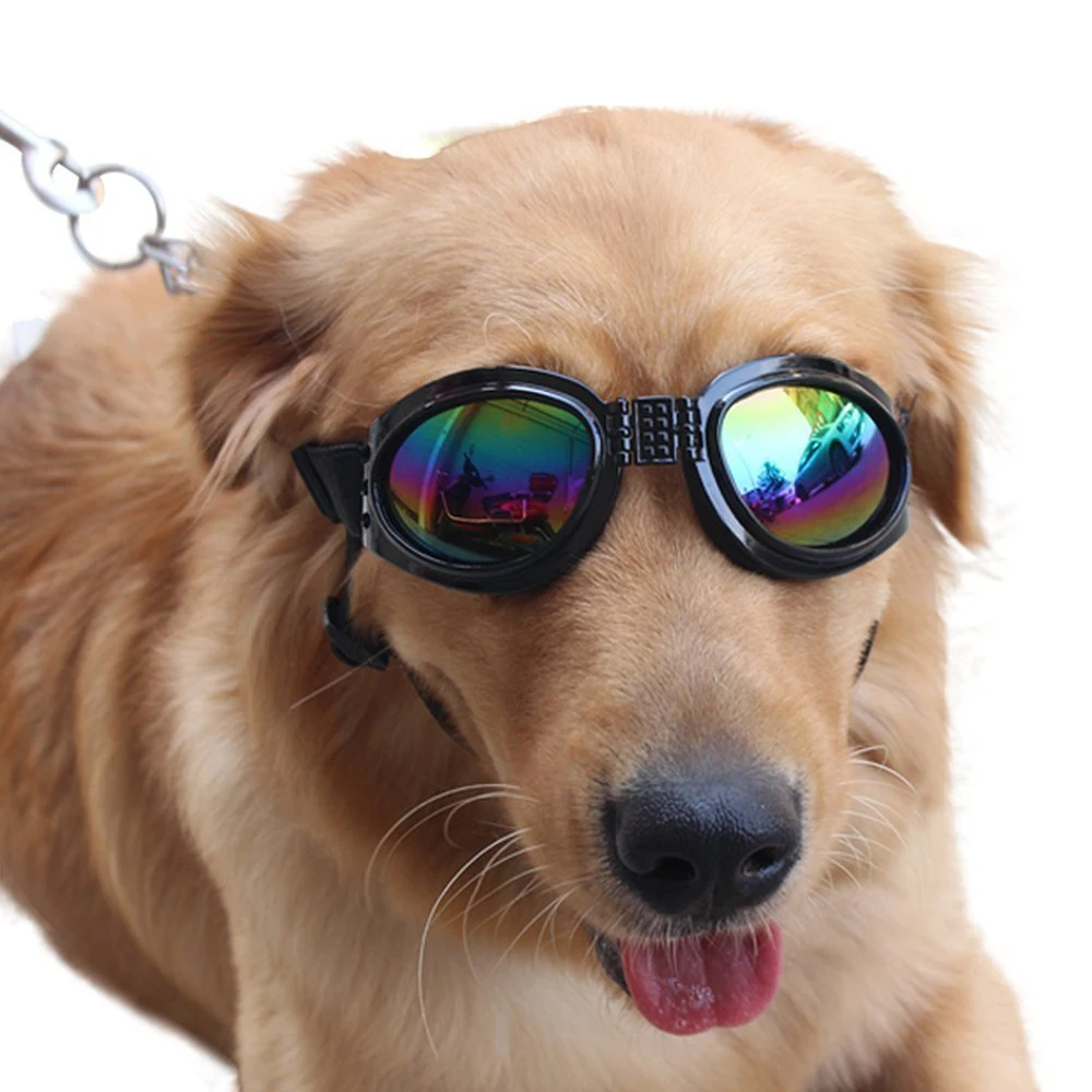 Dog Goggles Eye Wear Protection With Bondage Windproof Flying Glasses Pet Sunglasses Retro for Dogs About Over 6KG
Dog Goggles Eye Wear Protection With Bondage Windproof Flying Glasses Pet Sunglasses Retro for Dogs About Over 6KG