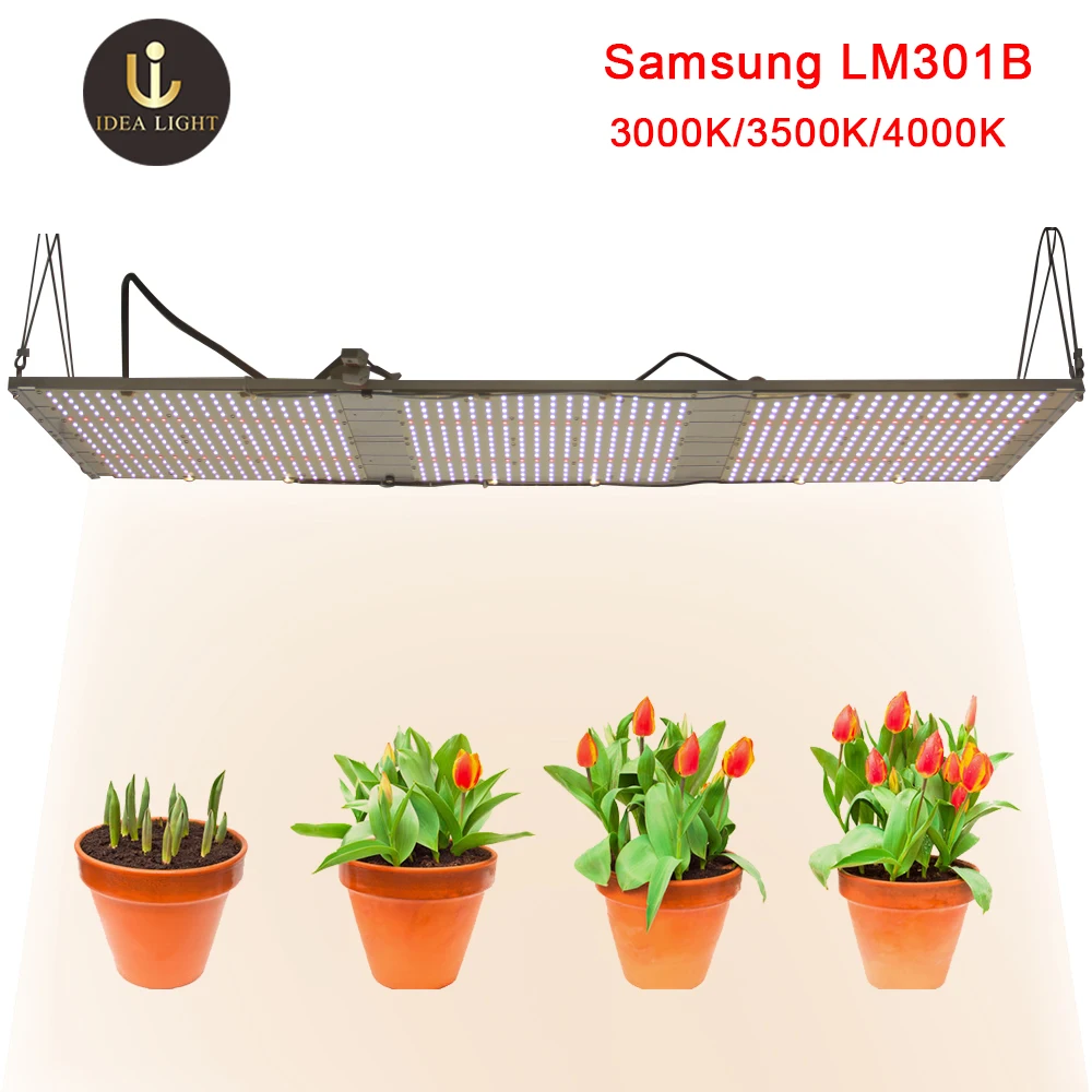 LED hydroponic lm561c lm301b Samsung led plant growth lamp 320w qb288 3500K 4000K 4500K quantum plate for greenhouse Grow Light
LED hydroponic lm561c lm301b Samsung led plant growth lamp 320w qb288 3500K 4000K 4500K quantum plate for greenhouse Grow Light