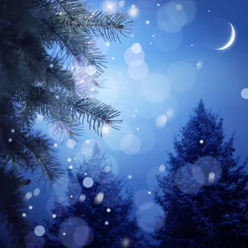 Laeacco Moon Star Tree Forest Blue Polka Dots Star Night Scenic Photographic Backdrops Photo Backgrounds Photocall Photo Studio
Laeacco Moon Star Tree Forest Blue Polka Dots Star Night Scenic Photographic Backdrops Photo Backgrounds Photocall Photo Studio