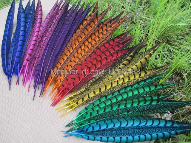 Free shipping wholesale 100pcs high quality natural cover chicken wing 30-35cm/12-14inch Variety of decorative 8 colors diy
Free shipping wholesale 100pcs high quality natural cover chicken wing 30-35cm/12-14inch Variety of decorative 8 colors diy