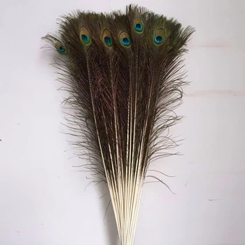 Samba 100Pcs/lot Natural Peacock Feathers 70-80cm,Wholesale Sale Bulk Cheap Household DIY Wedding Decoration Jewelry Making 4
Samba 100Pcs/lot Natural Peacock Feathers 70-80cm,Wholesale Sale Bulk Cheap Household DIY Wedding Decoration Jewelry Making 4