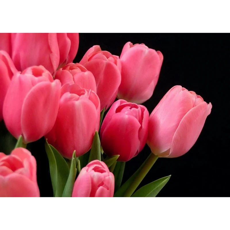 Full Drill Square Diamond 5D DIY Diamond Painting"Pink tulips"Diamond Embroidery Cross Stitch Rhinestone Mosaic Painting
Full Drill Square Diamond 5D DIY Diamond Painting"Pink tulips"Diamond Embroidery Cross Stitch Rhinestone Mosaic Painting